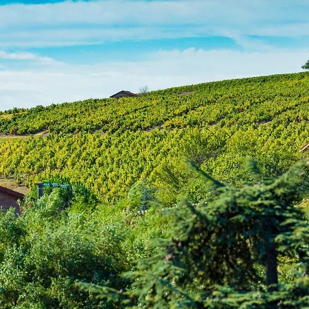 Hotel Logis Noemys Morgon Villie-Morgon